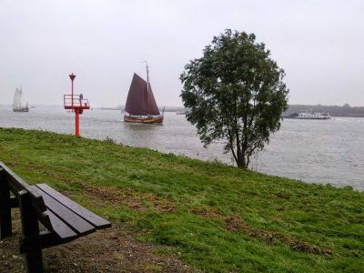 Walk and See - Wandelen van Hoogvliet, via de Rhoonse Grienden naar Barendrecht