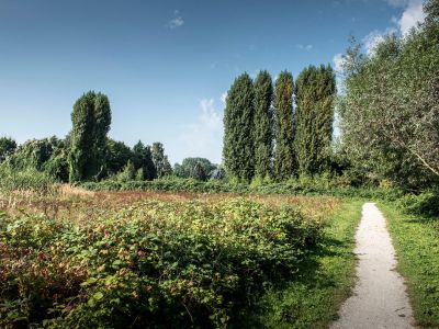 Natuurvereniging Eiland IJsselmonde - De historie van het Gorzenpark
