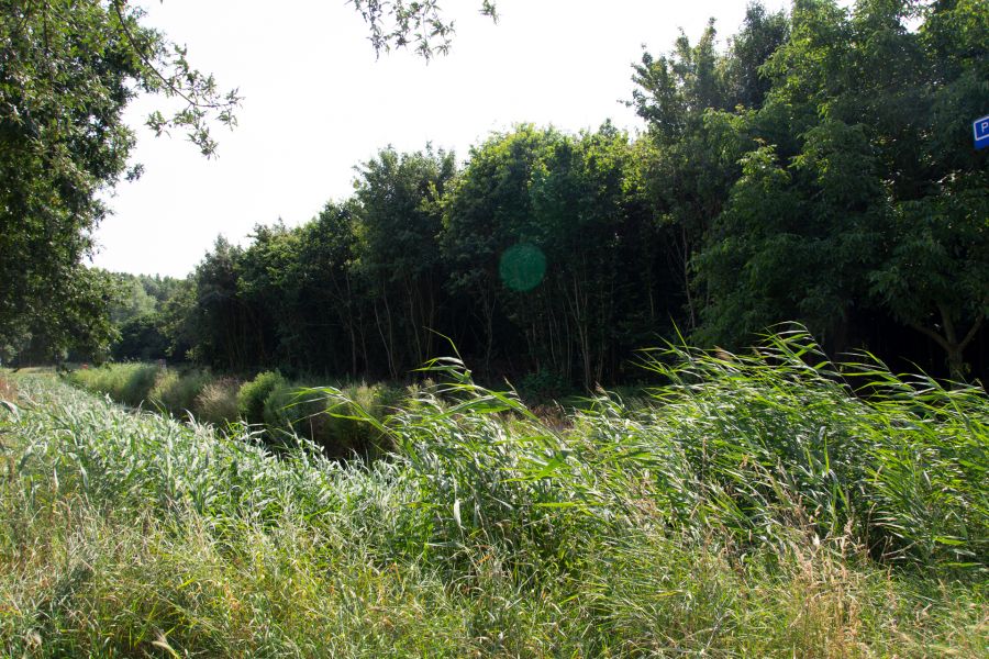 Valckensteijnse Bos