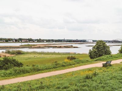 Travander - Crezéepolder: wandelen door een vogelrijke polder op Eiland IJsselmonde
